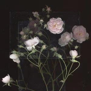 白袜子舞蹈生翘臀被c视频
